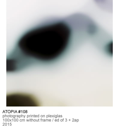 Owl Image