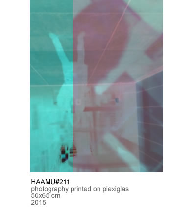 Owl Image