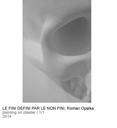 Owl Image
