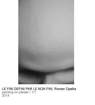 Owl Image
